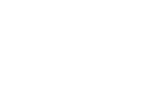 ASTOR Räumungen